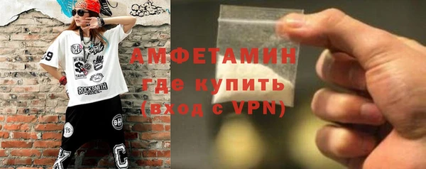 индика Гусев