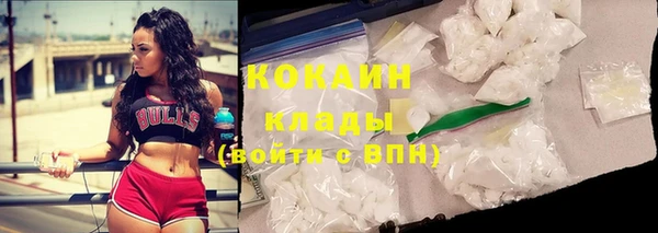 ПСИЛОЦИБИНОВЫЕ ГРИБЫ Гусь-Хрустальный