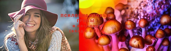 ПСИЛОЦИБИНОВЫЕ ГРИБЫ Гусь-Хрустальный
