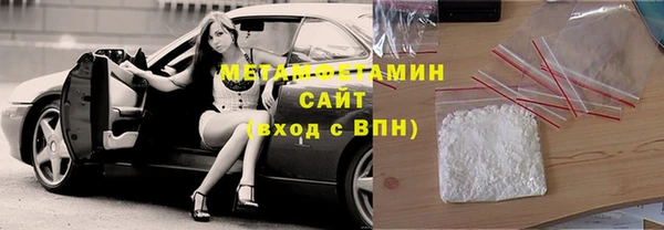 индика Гусев