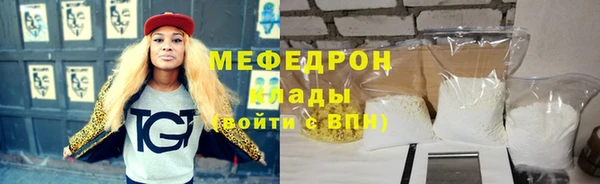 индика Гусев