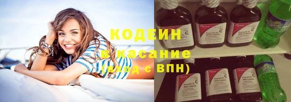 ПСИЛОЦИБИНОВЫЕ ГРИБЫ Гусь-Хрустальный