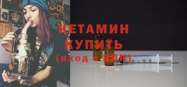 индика Гусев