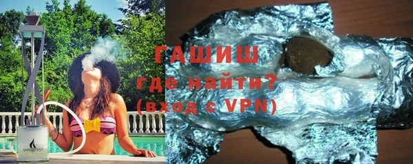 индика Гусев