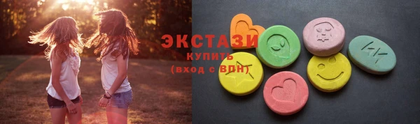 индика Гусев