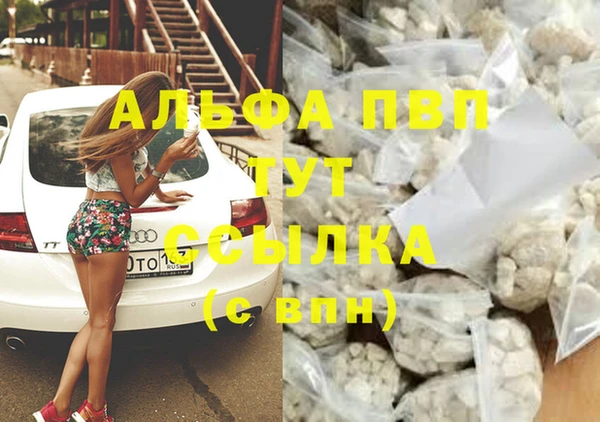 индика Гусев