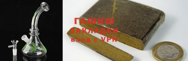 индика Гусев