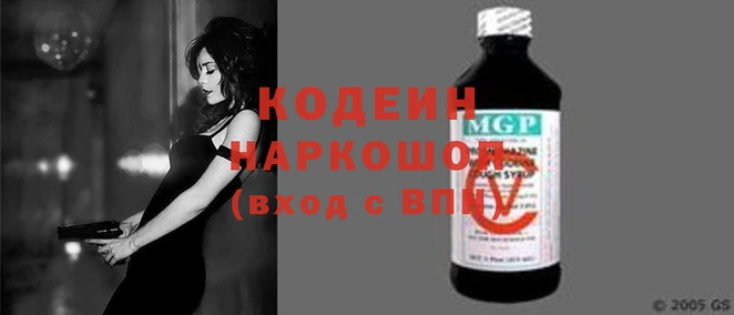 индика Гусев