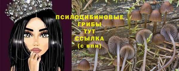 2c-b Гусиноозёрск