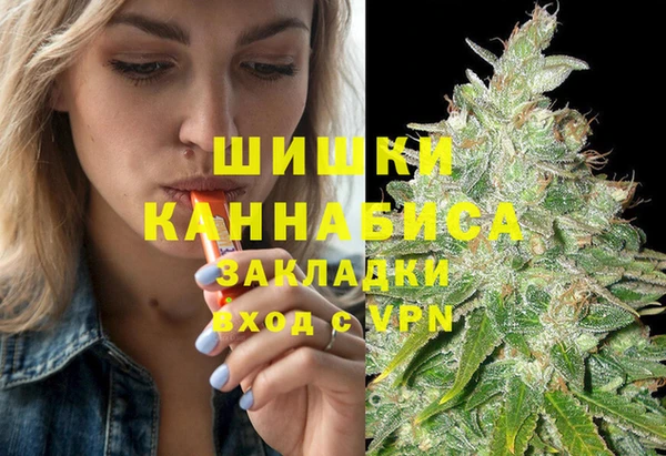 индика Гусев
