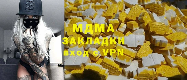 индика Гусев