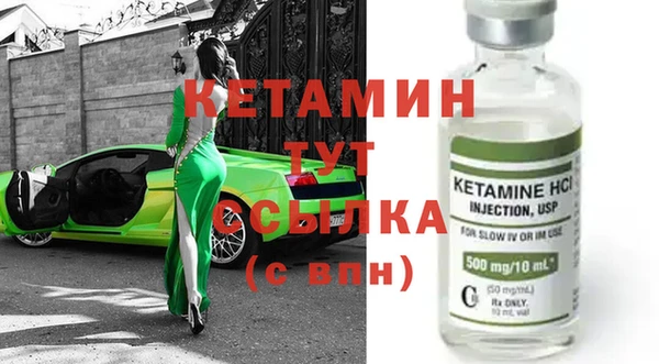 индика Гусев