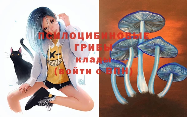 2c-b Гусиноозёрск