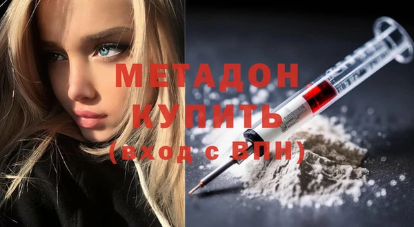 индика Гусев