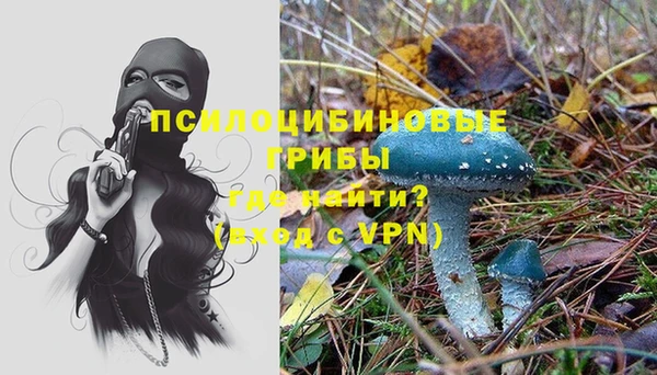 индика Гусев
