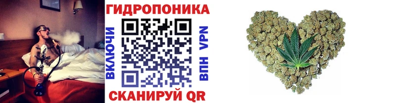 Бошки Шишки White Widow  как найти закладки  Невель 